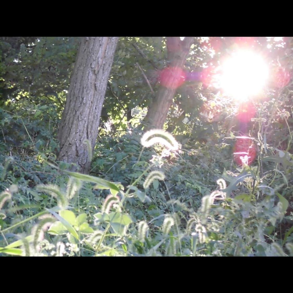 작례⭕️ 카시오 엑슬림 EX-ZS  로즈 핑크🌸  (품번_BB291) 상품이미지2