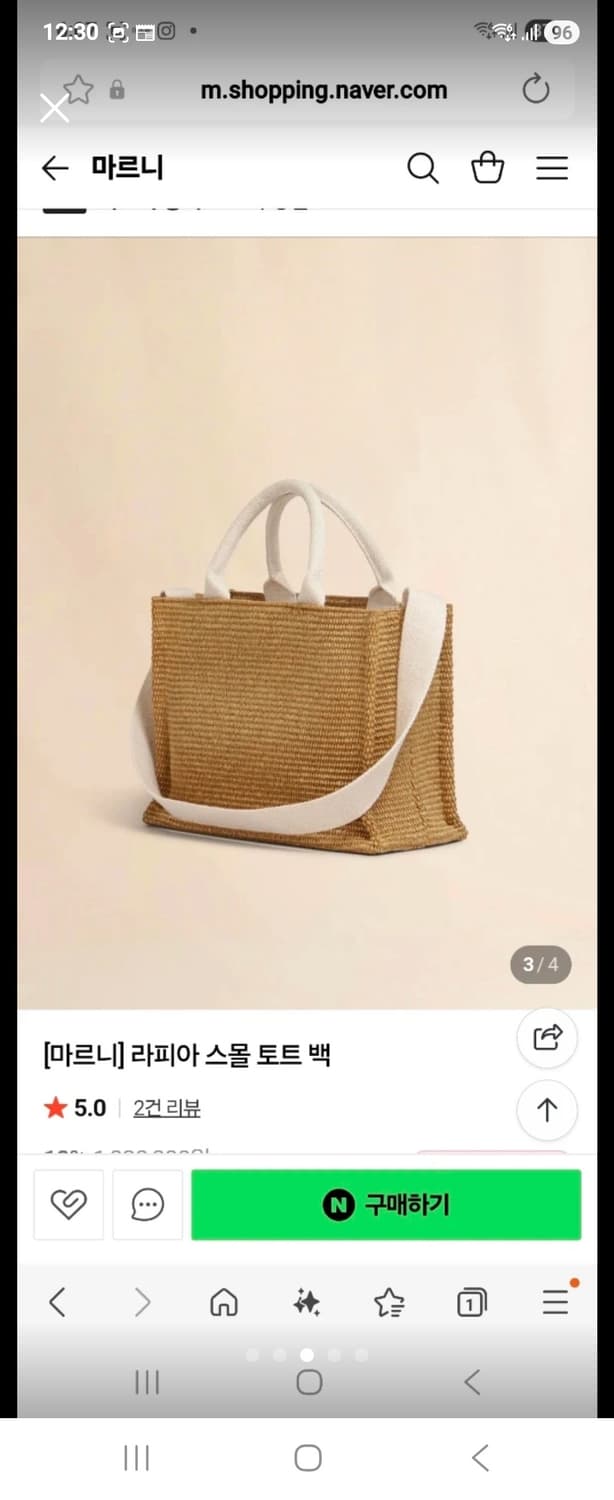 마르니 라피아 스몰 토트백 상품이미지3