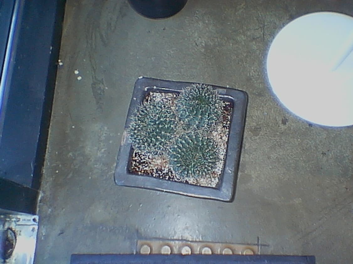 파나소닉 SV-AV30 화이트 초소형디카/캠코더 상품이미지8