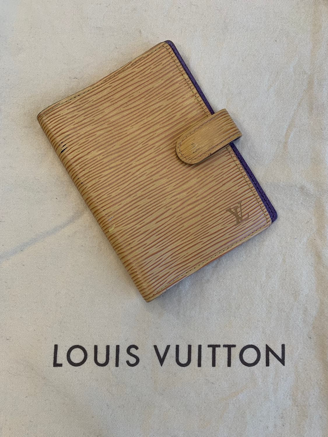 LOUIS VUITTON 루이비통 에삐 아젠다 다이어리 상품이미지1