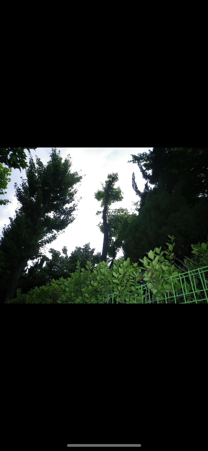 Pentax펜탁스 옵티오 H90디카 상품이미지8