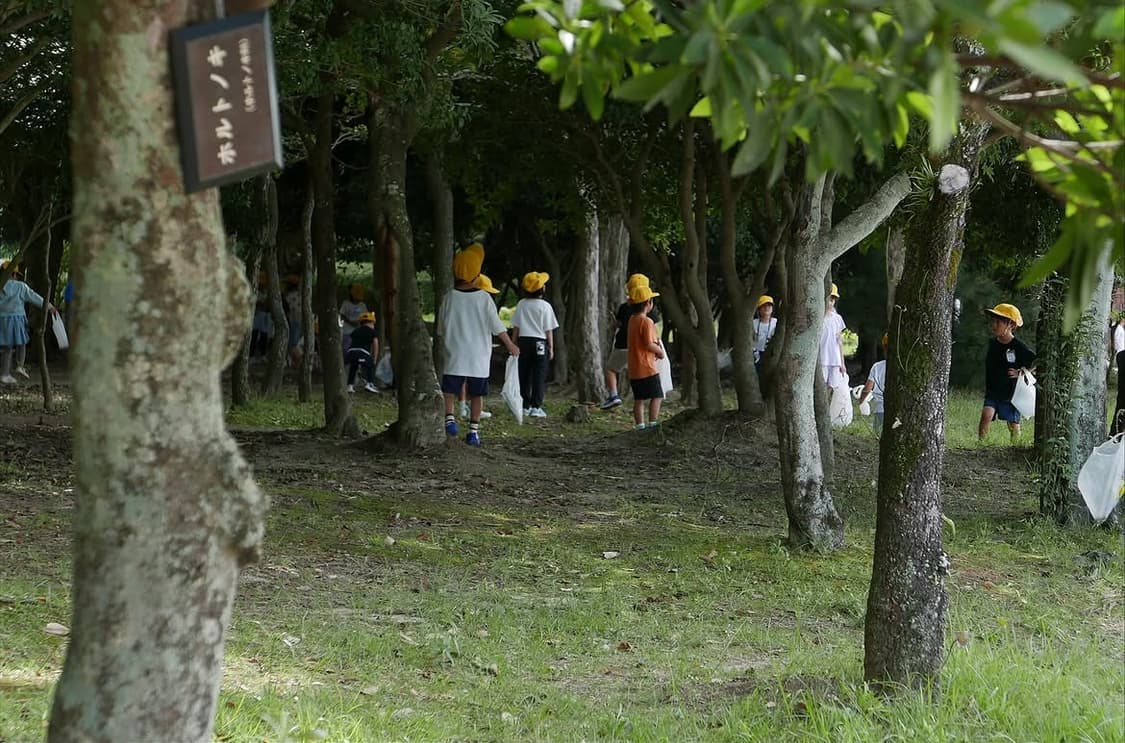 라이카 d-lux 109 상품이미지6