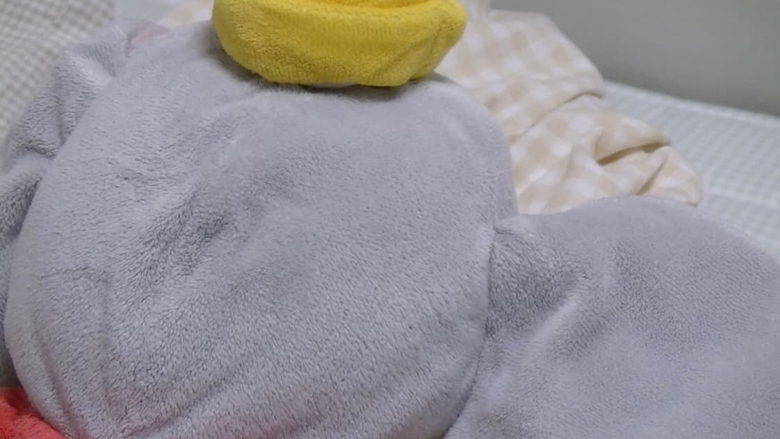 풀구성 JVC GZ-V590 핑크캠코더 빈티지캠코더 핑크디카 빅터 소니 상품이미지10