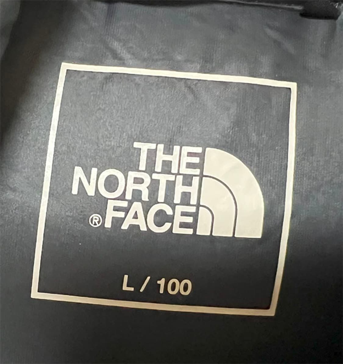 노스페이스 남자 패딩 구스다운 빵빵한 올검 캐주얼 L 100 상품이미지3