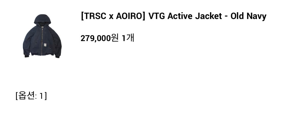 아오이로 TRSC 빈티지 액티브 자켓 (1) 상품이미지2