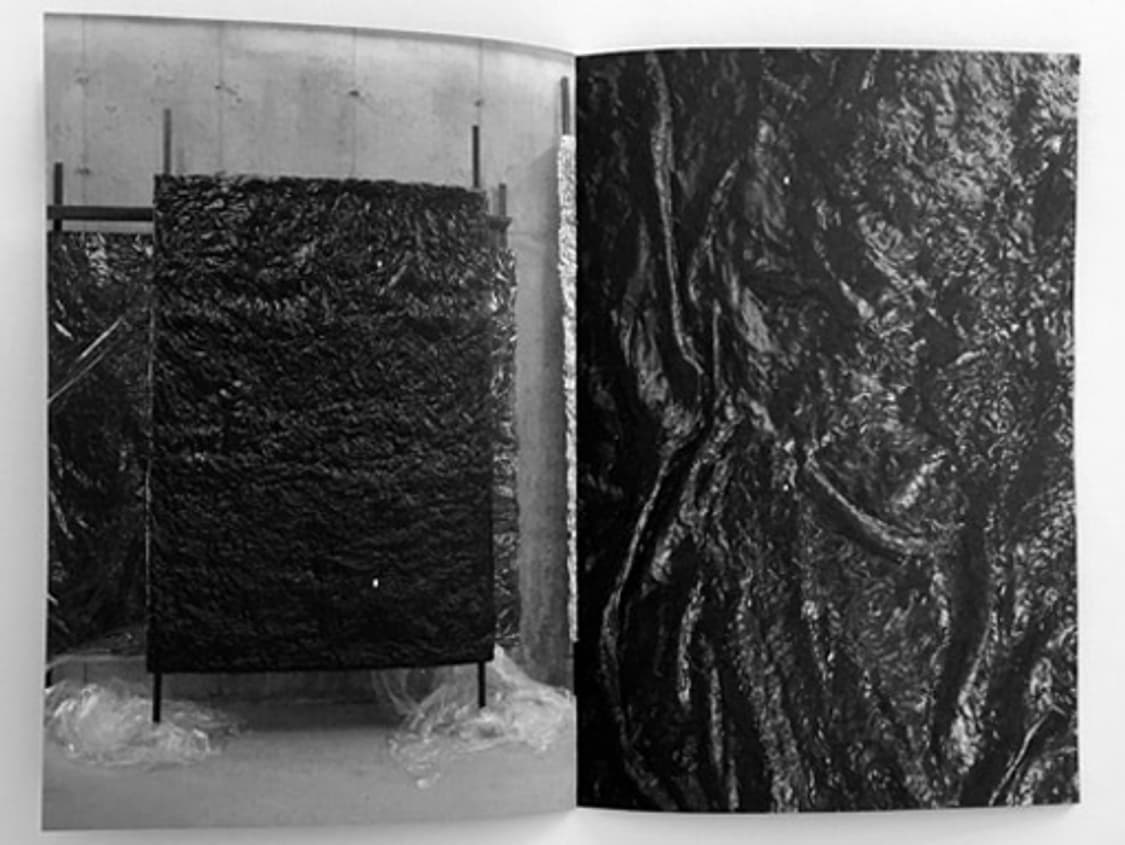 헬무트랭 Burry 전시 도록 상품이미지2