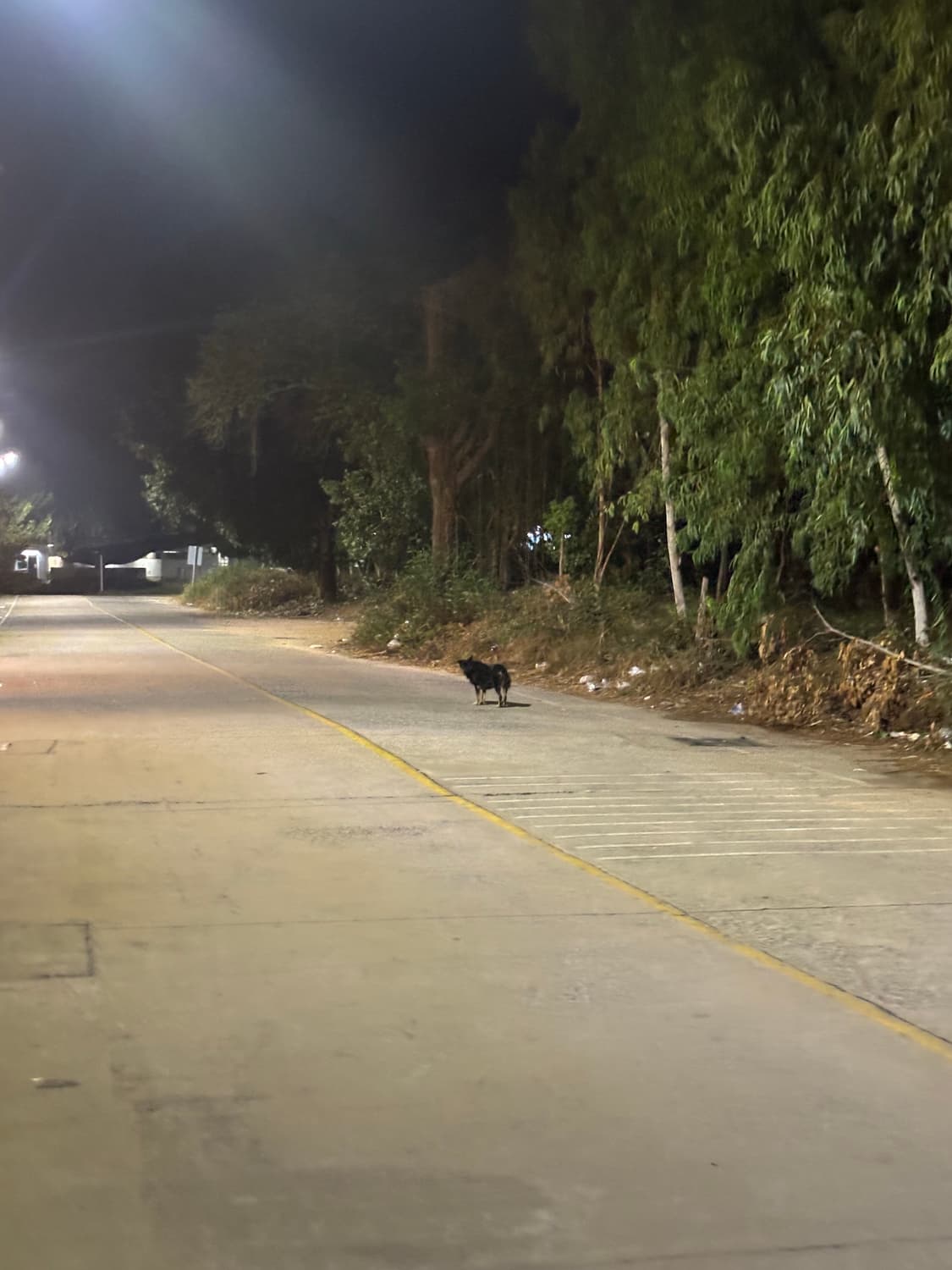 판매완료 상품이미지1