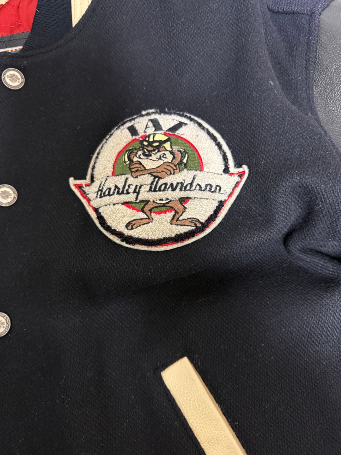 할리 바시티자켓 워너브라더스 콜라보 상품이미지8