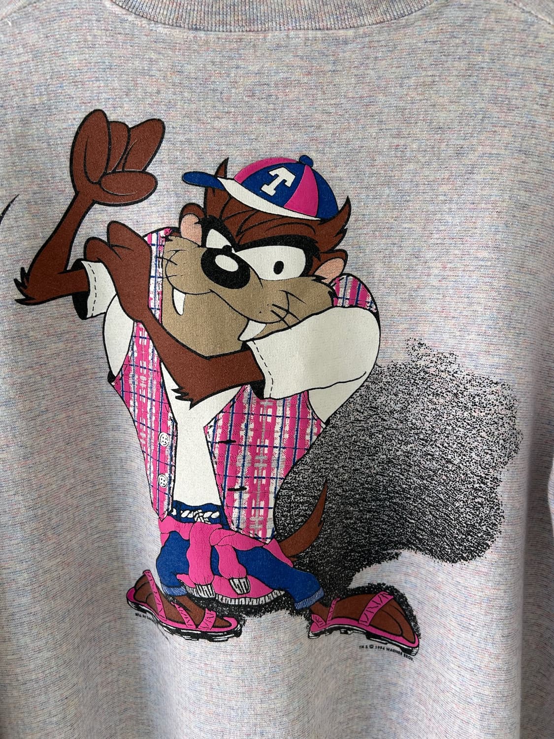 90' Warner bros Taz USA Sweatshirt.  상품이미지2