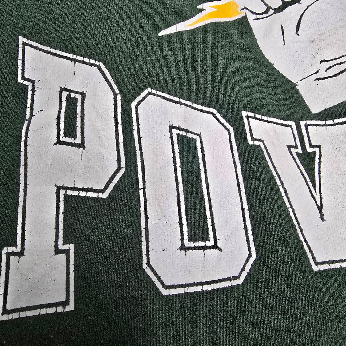 Vintage 90s Fruit ot the loom 후룻오브더룸스웻셔츠 상품이미지3