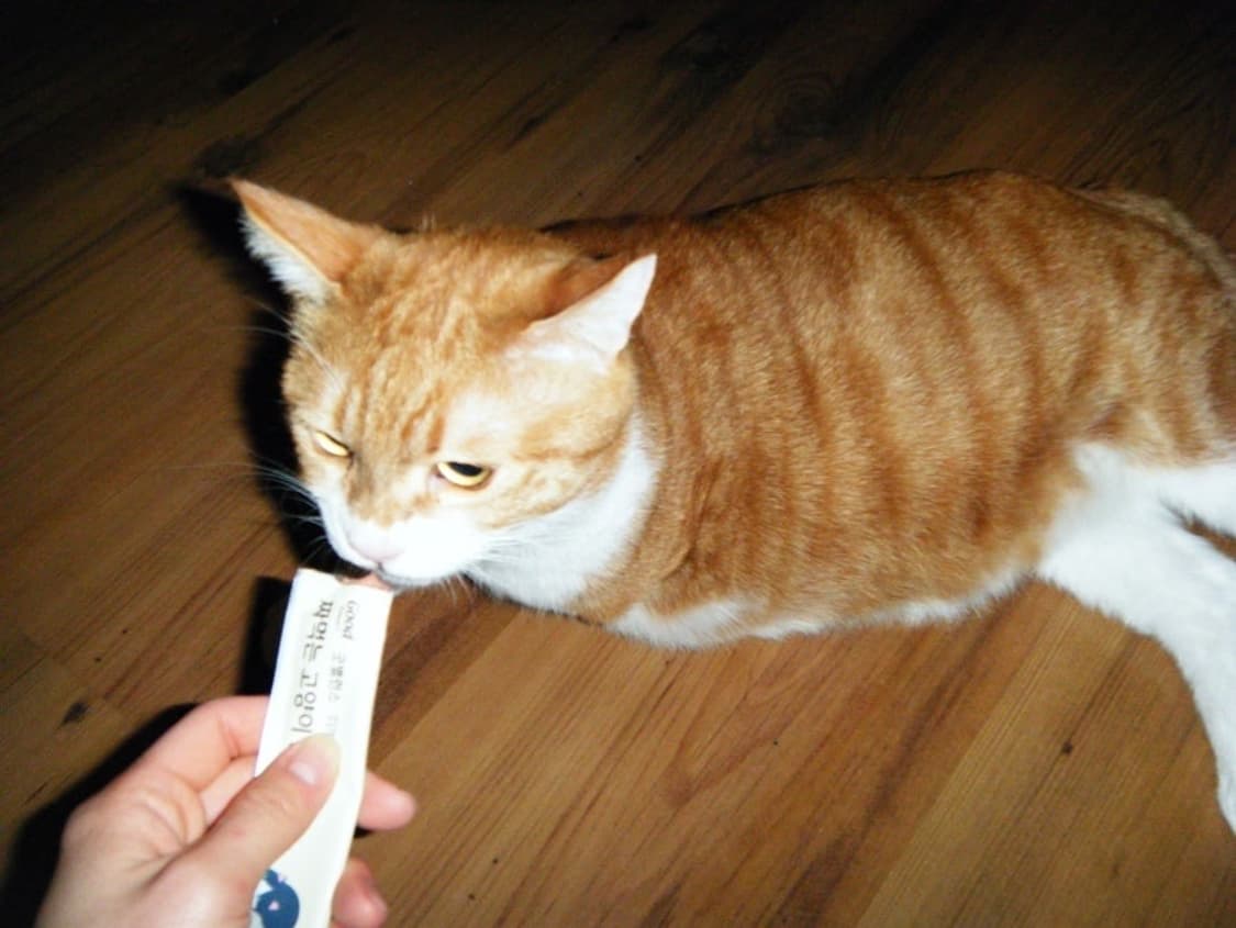 후지필름 파인픽스 z30 (작례O) 상품이미지9