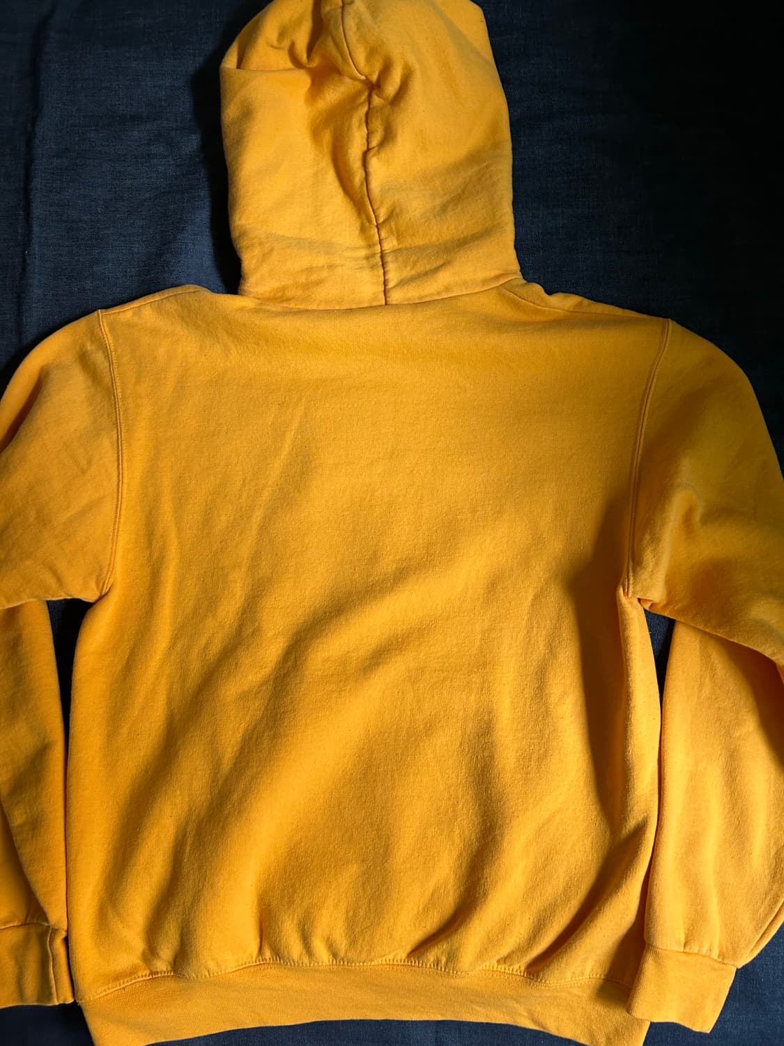Champion Michigan Hoodie 상품이미지10