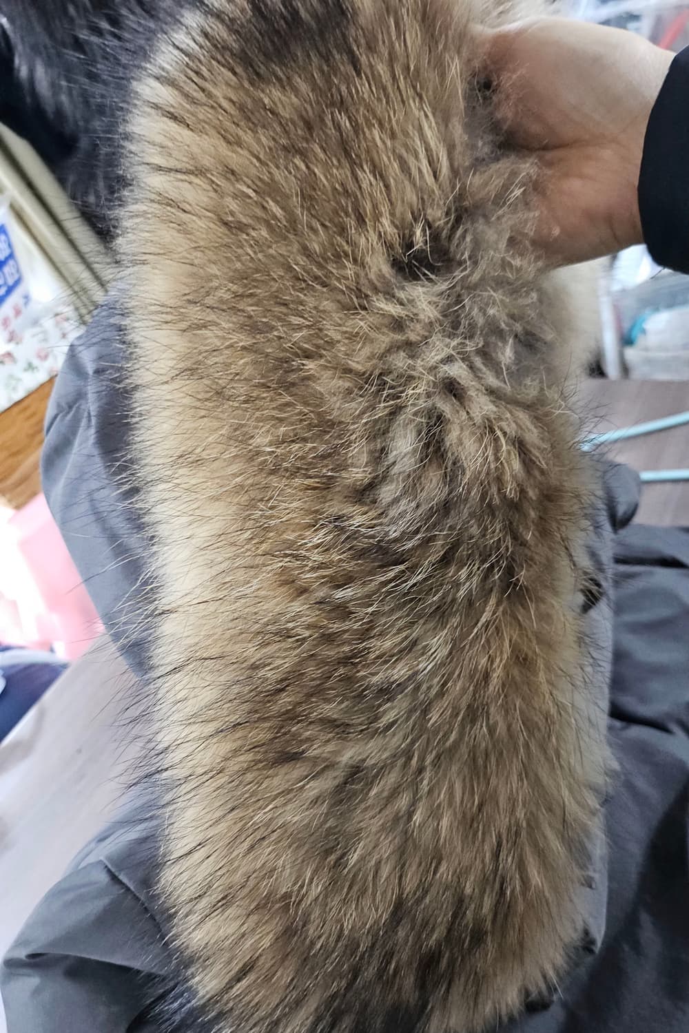 CLOSER  구스 패딩 M 상품이미지3