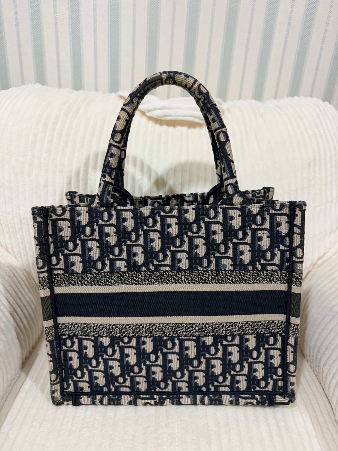 디올 오블리크 북토트 스몰 상품이미지2