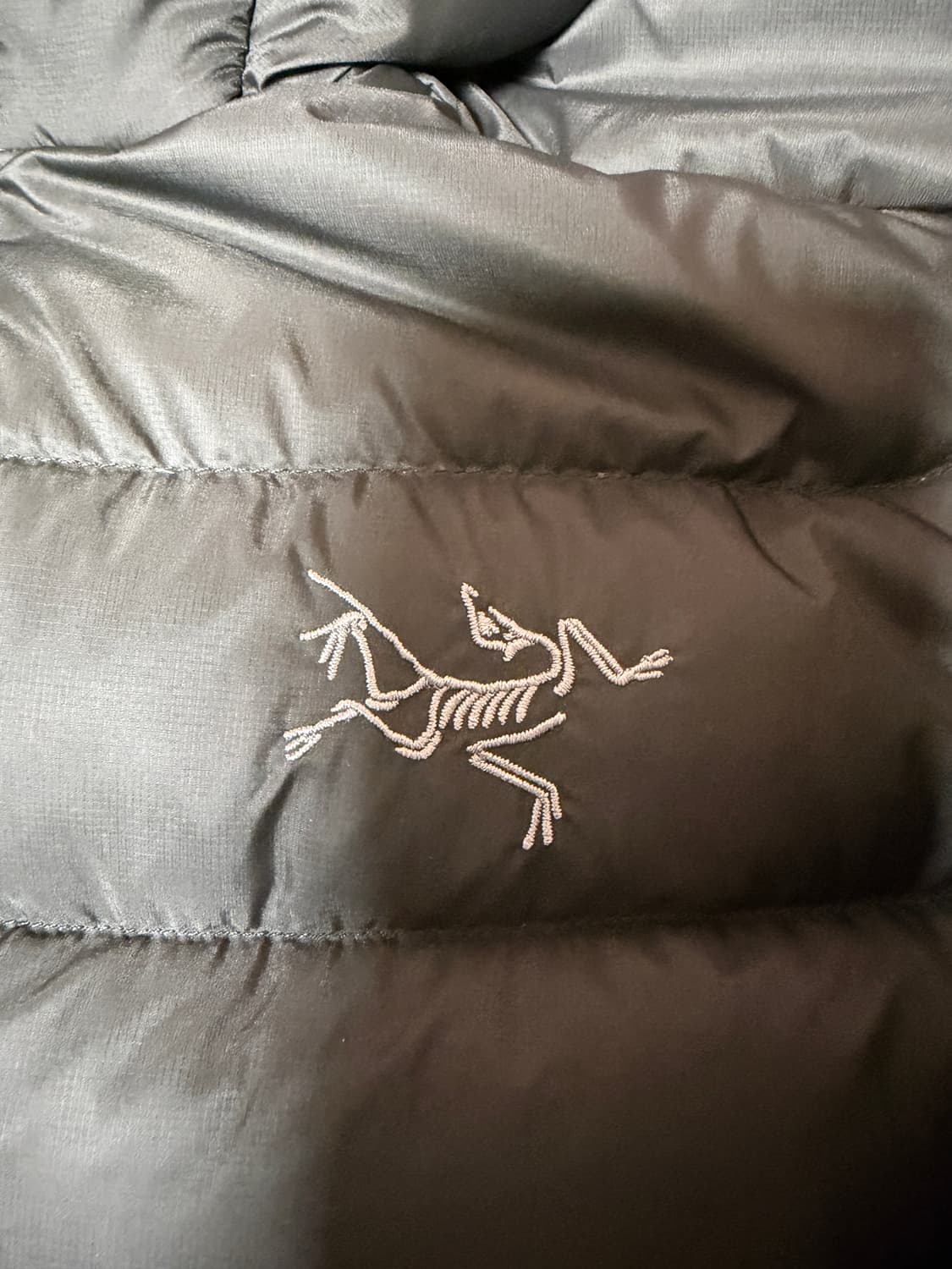 아크테릭스 세륨 후디 블랙 L 상품이미지3