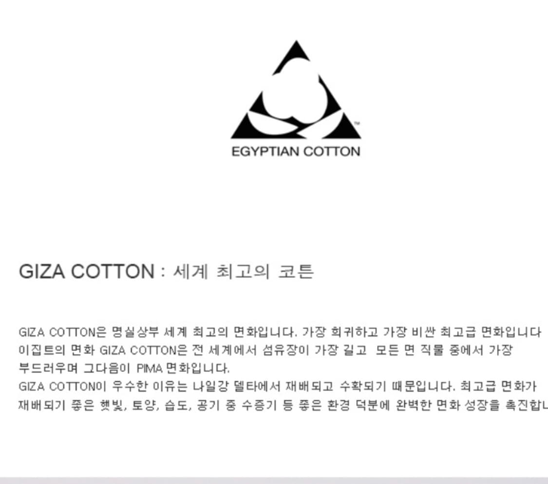 쿠어 기자 CP 스판 세미오버핏 티셔츠 (아보카도) 상품이미지7