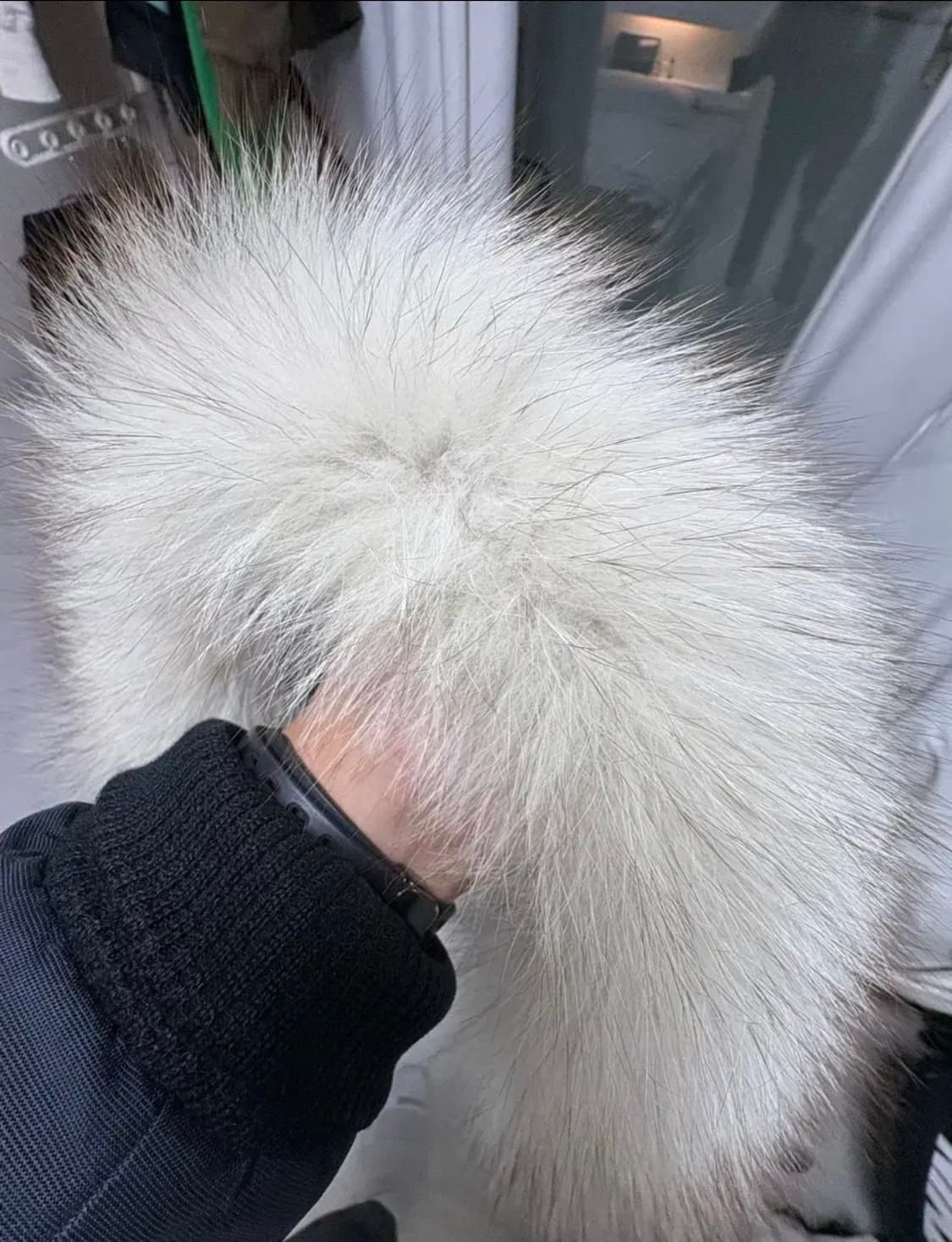 무스너클 발리스틱 무하자 급 판매 s사이즈 상품이미지3