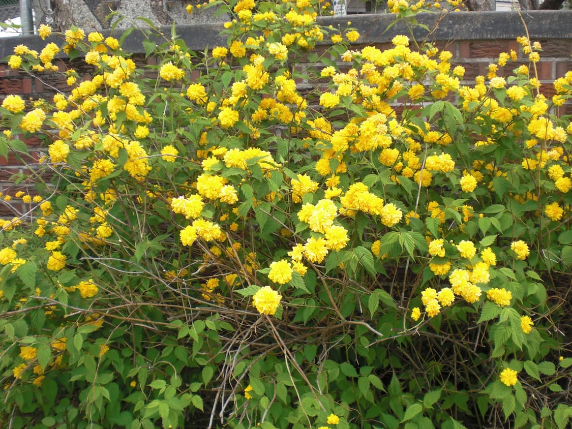 작례O) casio exilim ex-z20 카시오 엑슬림 디카 상품이미지9