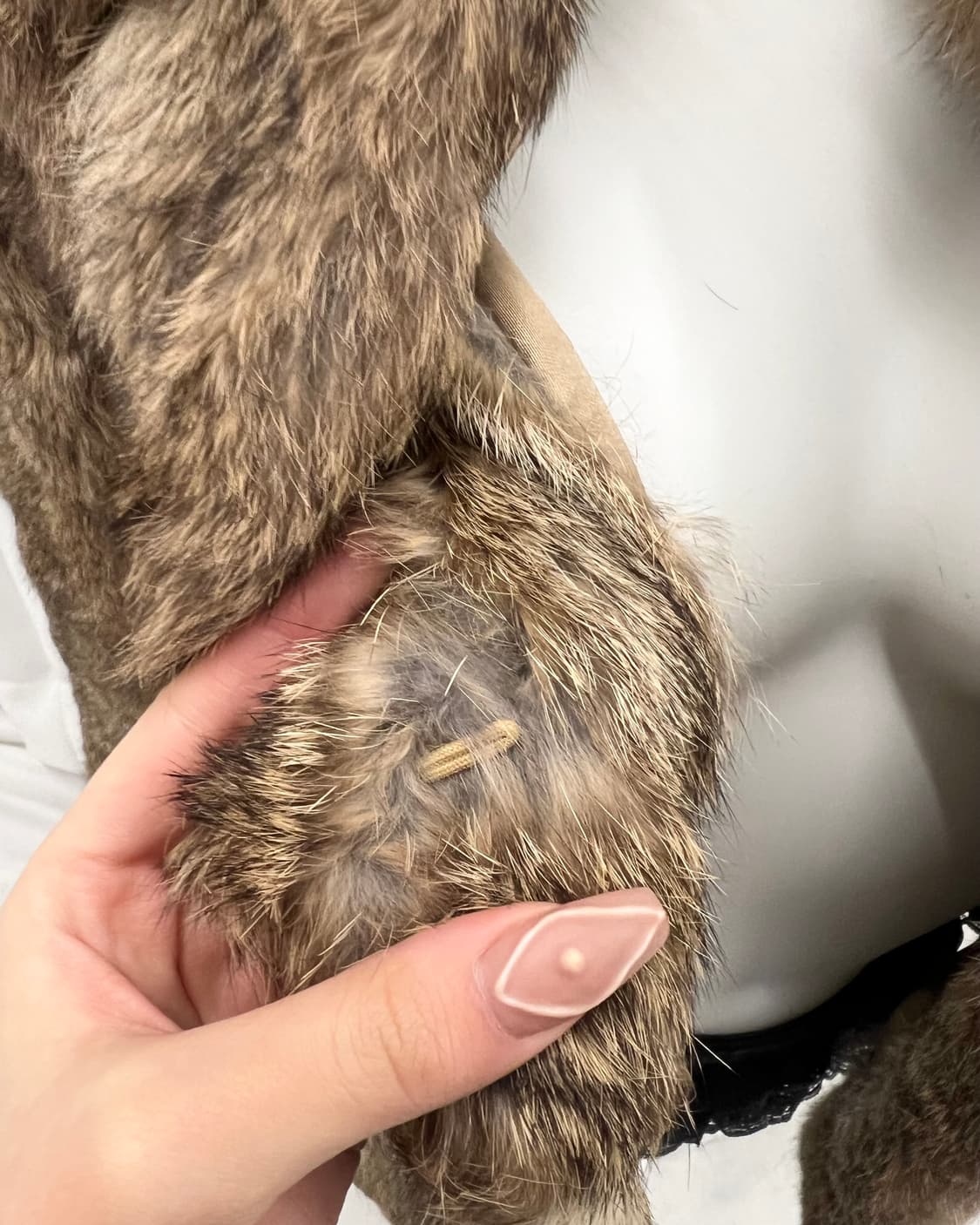 브라운 레빗퍼  상품이미지5