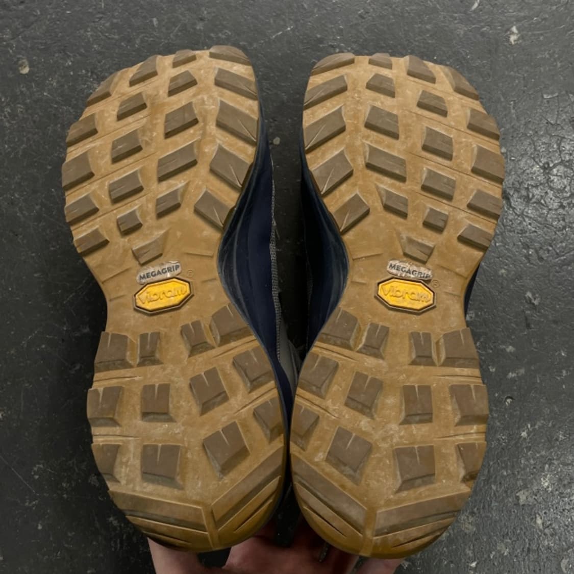 255 아크테릭스 에어리어스 미드 상품이미지5