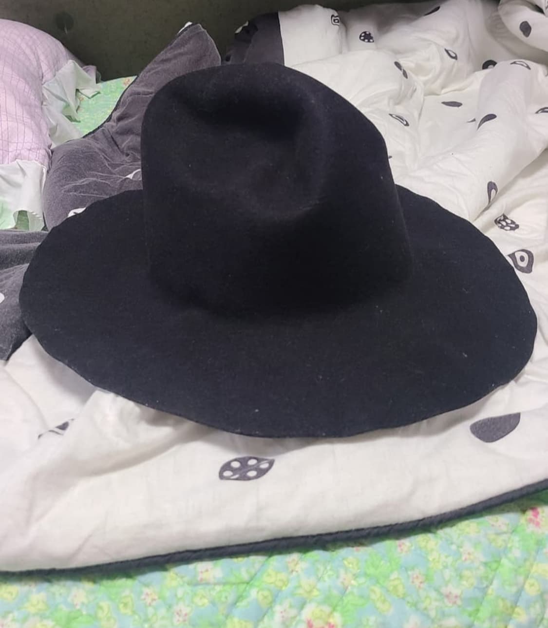 비리디안 x 키지마 타카유키 페도라 2사이즈 상품이미지3