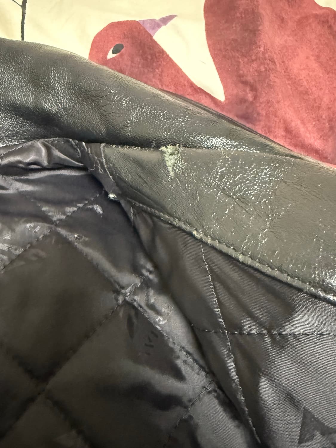 아비렉스 리미티드 에디션 가죽 자켓 XXL 상품이미지2