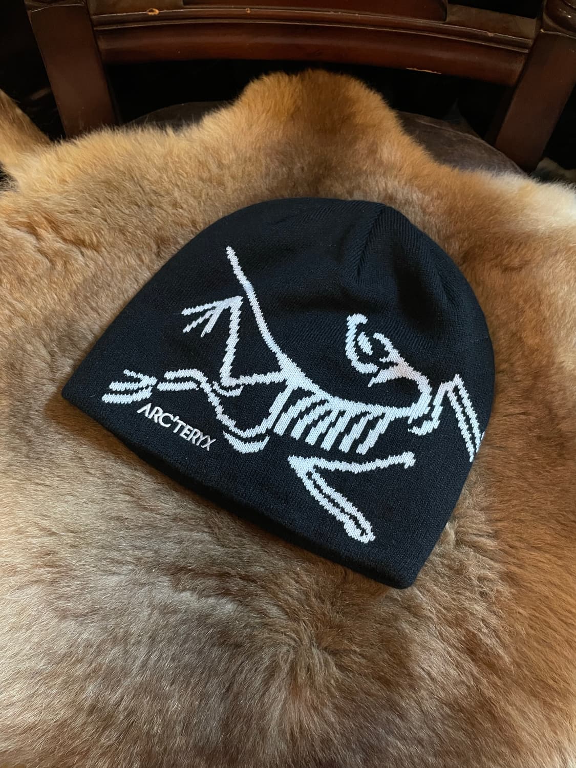 아크테릭스 비니 상품이미지1