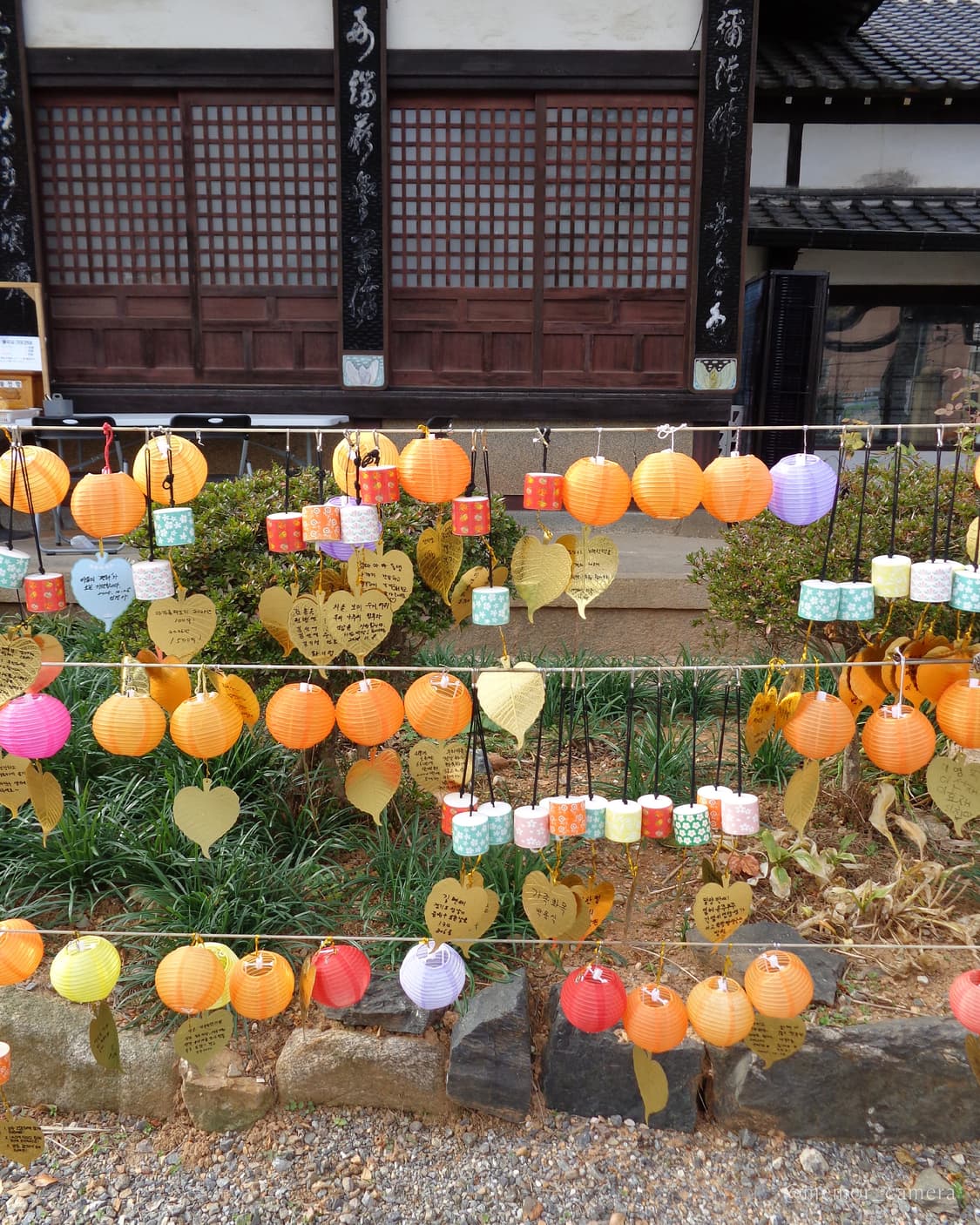 인물사진추천/뉴트럴톤작례✨SONY DSC-W730 소니 디카 카메라 상품이미지8