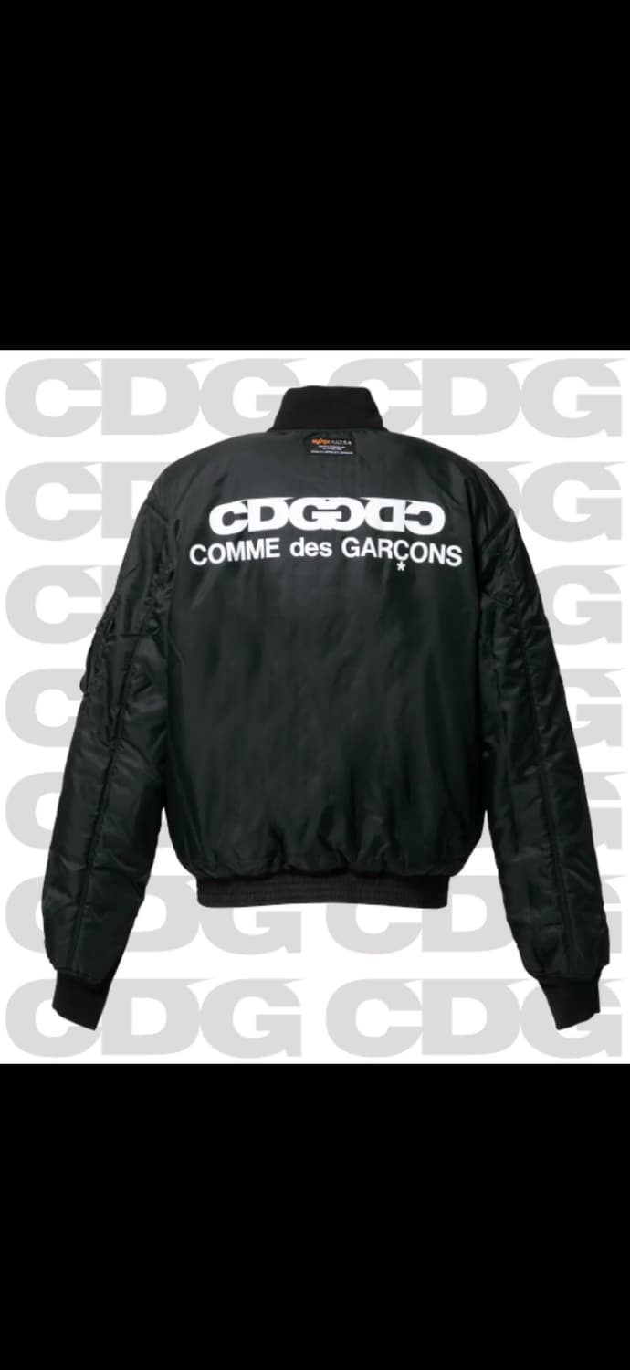 꼼데가르송 CDG X 알파인더스트리 리버시블 웹 자켓 25FW 구매 상품이미지2