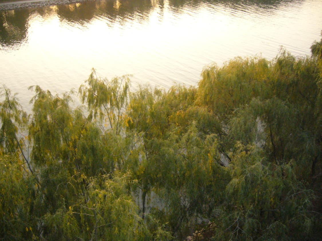 파나소닉 루믹스 fx9 디카 판매 상품이미지8