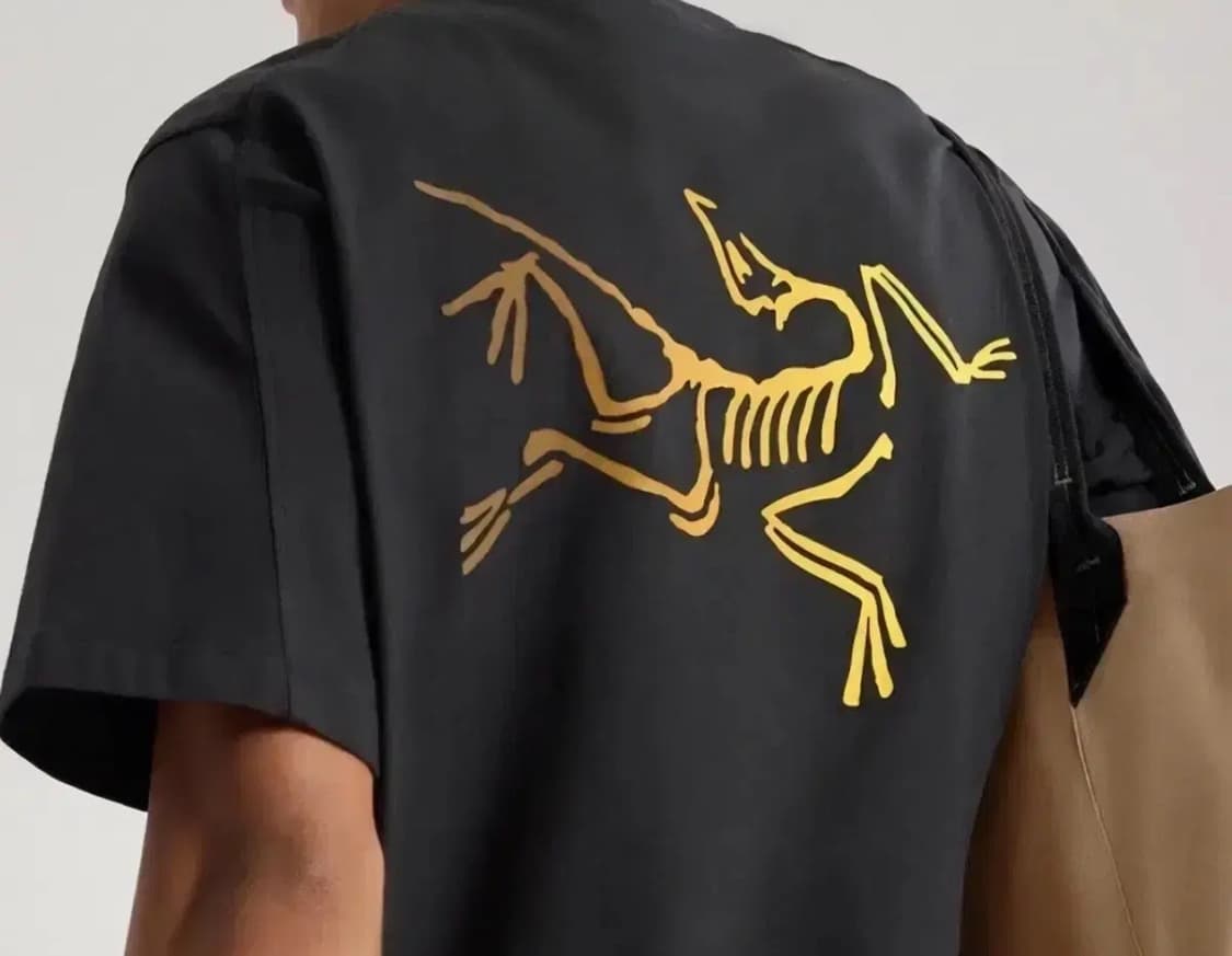 [새상품/정품] 아크테릭스 빅로고 반팔티 (블랙 / L) 상품이미지3