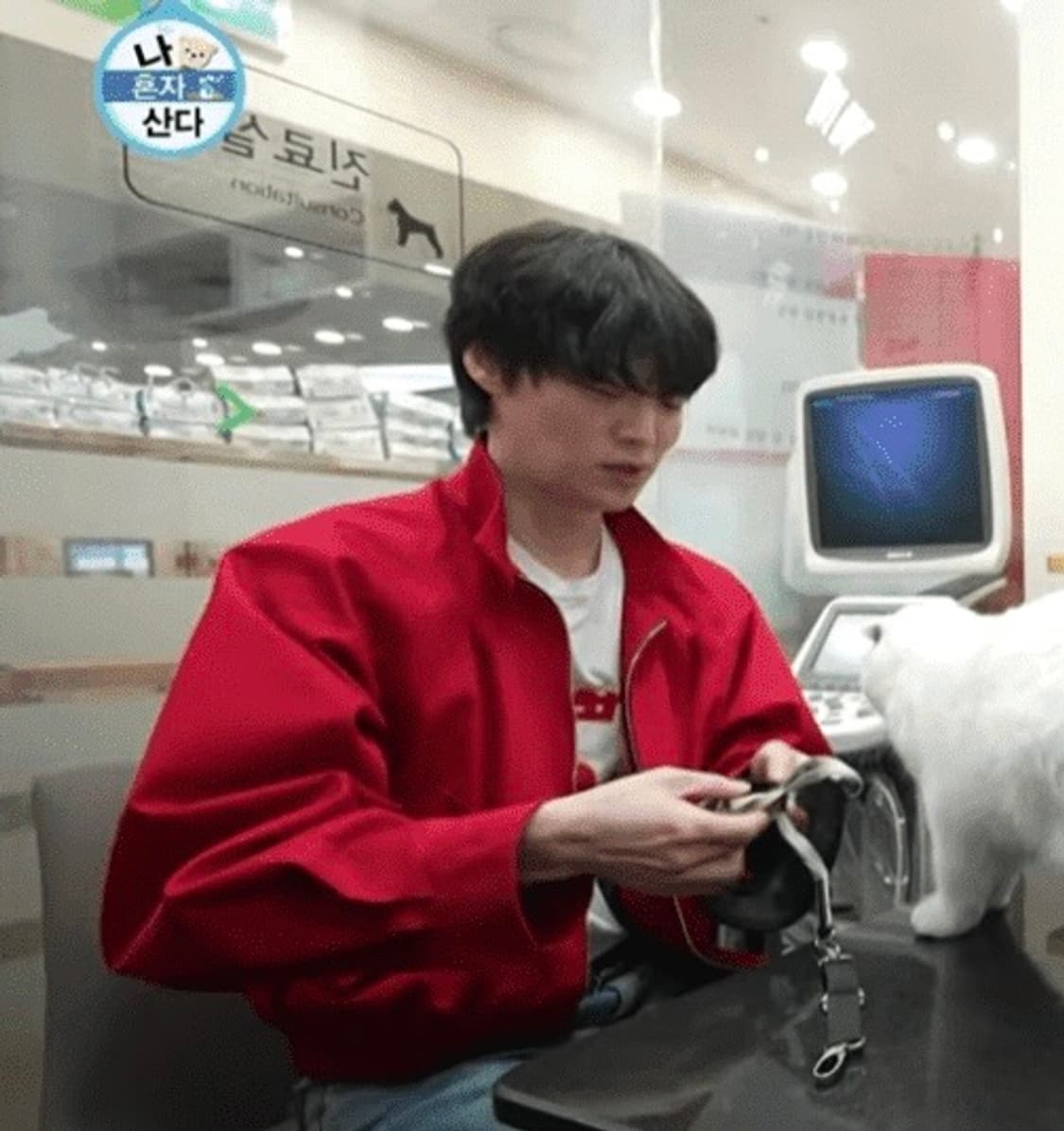 노이스 블루종 레드 M 상품이미지3