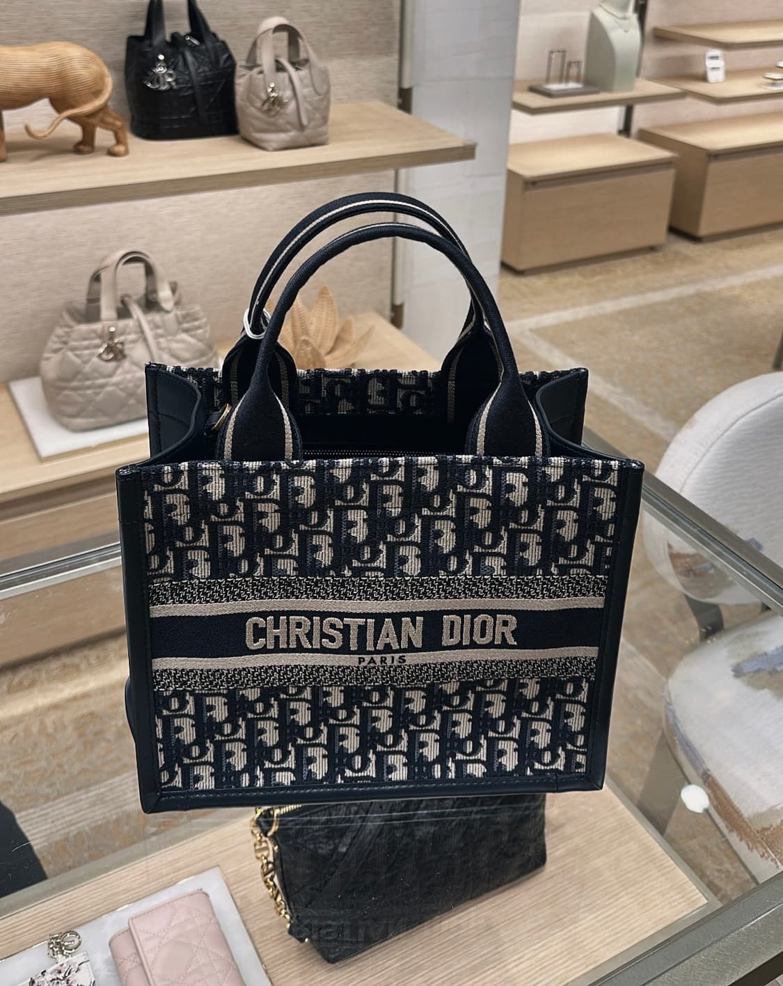 디올 오블리크 토트백 스몰  상품이미지1