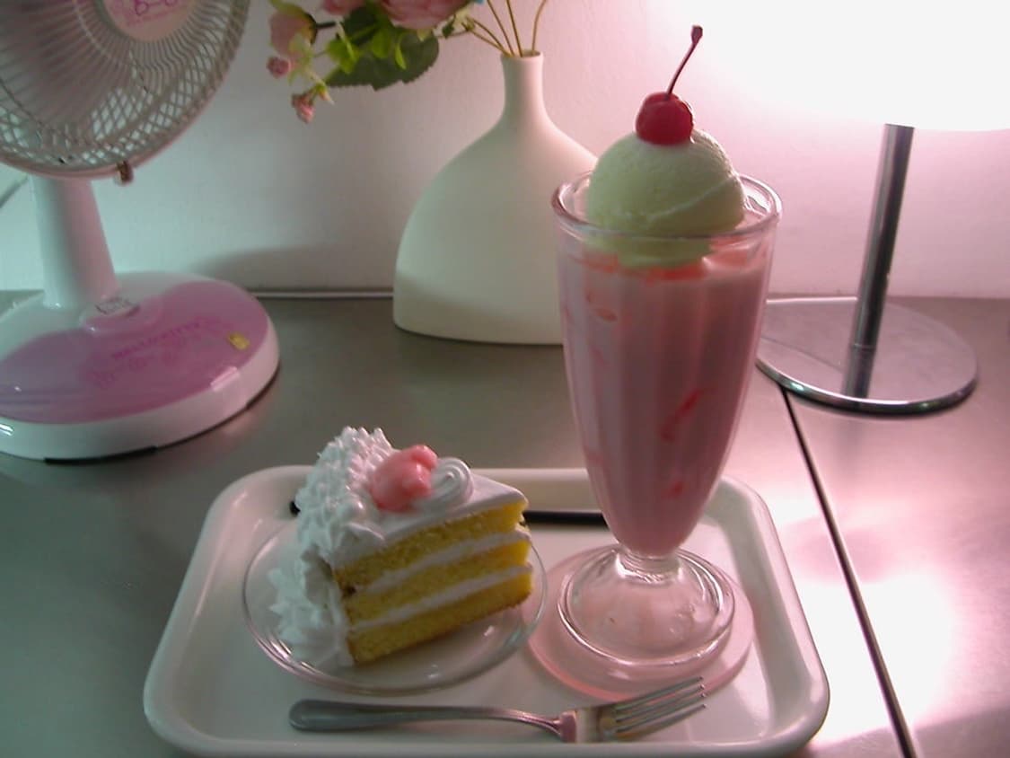 Nikon coolpix 2500 니콘 쿨픽스 2500  황조지 디카 상품이미지10