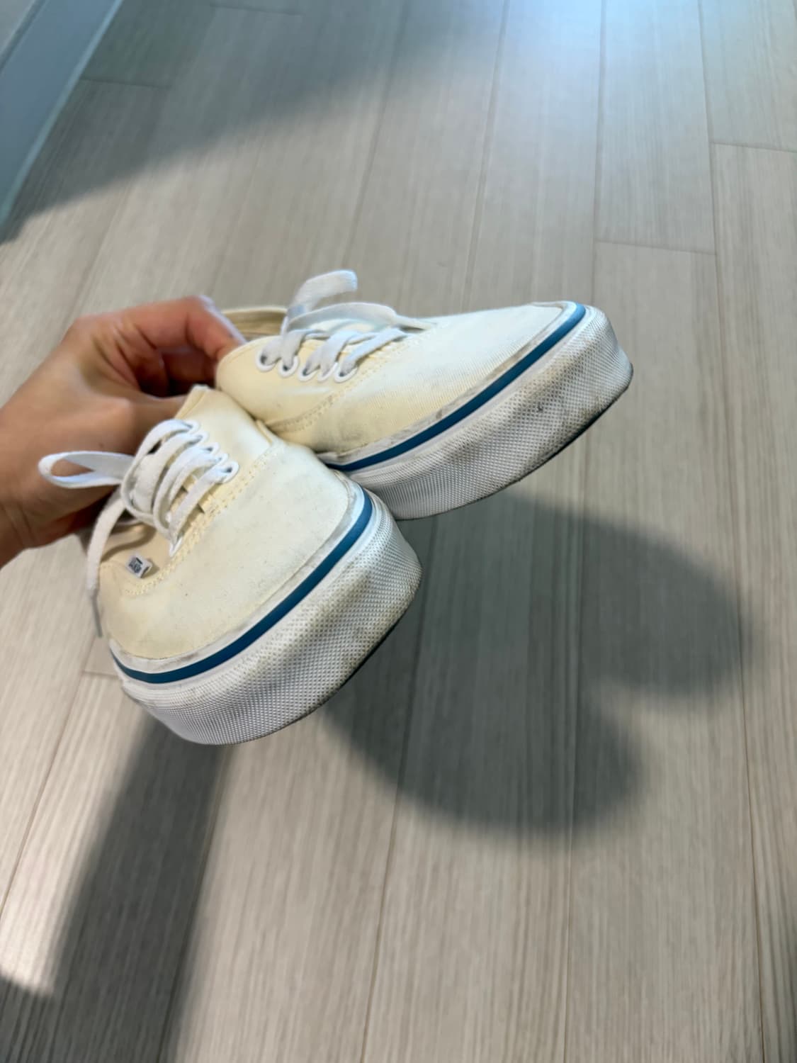 반스 어센틱 255 상품이미지2