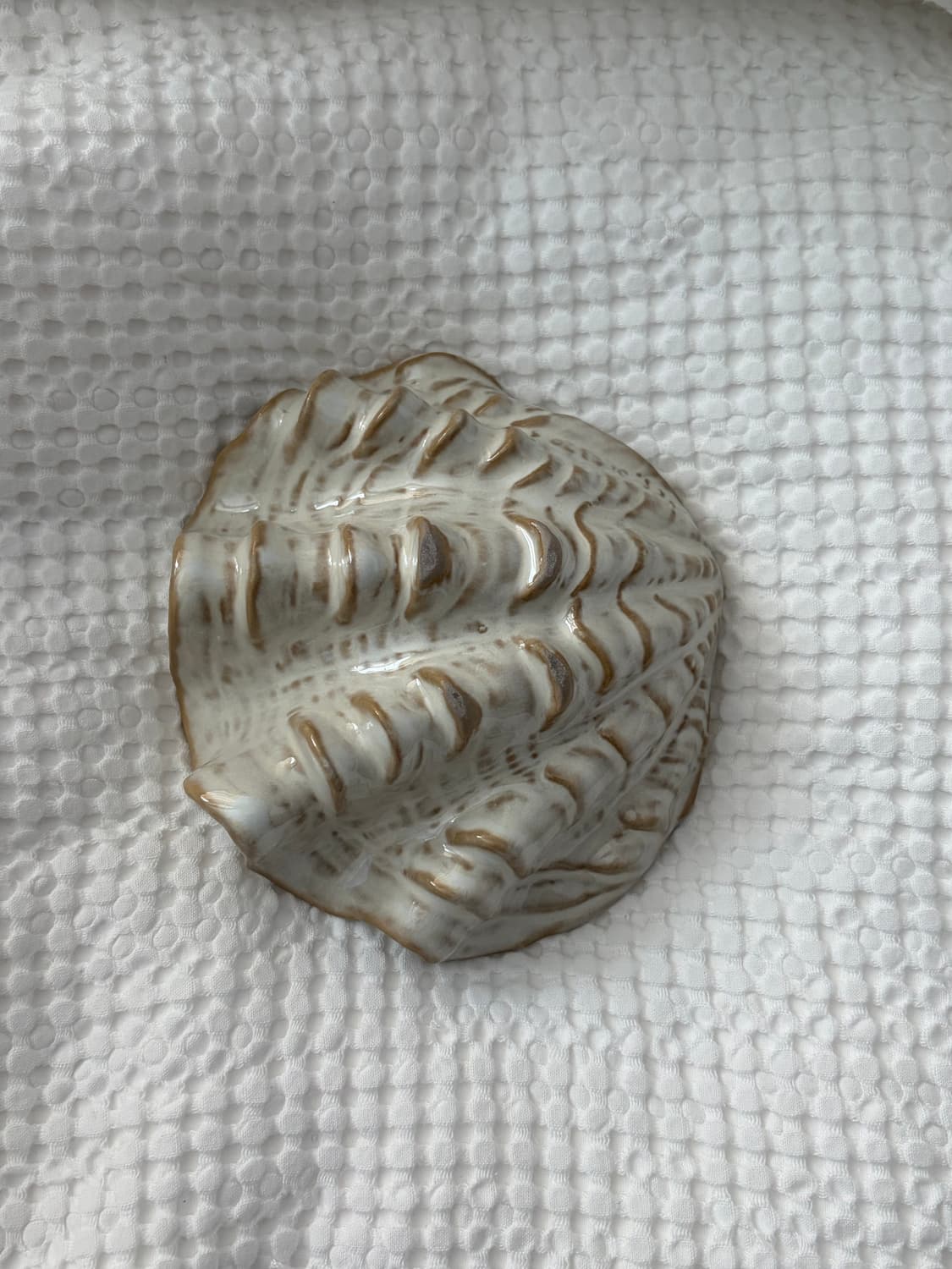 야나칸 조개접시 상품이미지2