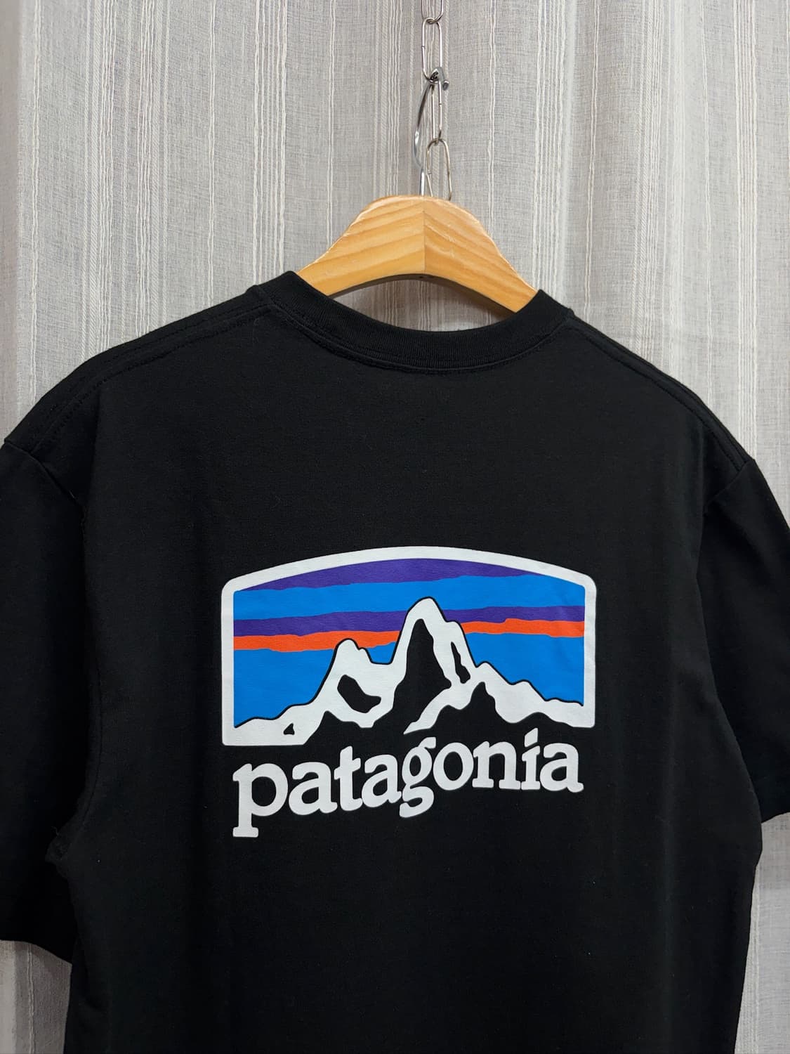 Patagonia 파타고니아 피츠 로이 호라이즌즈 리스폰시빌리 티셔츠 상품이미지1