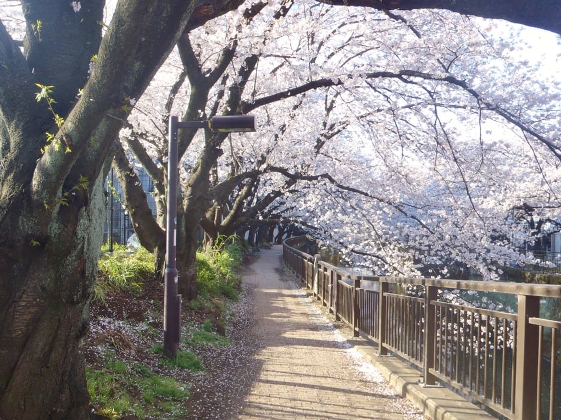 (한국어 지원) 올림푸스 Olympus Stylus Tough 3000 상품이미지7