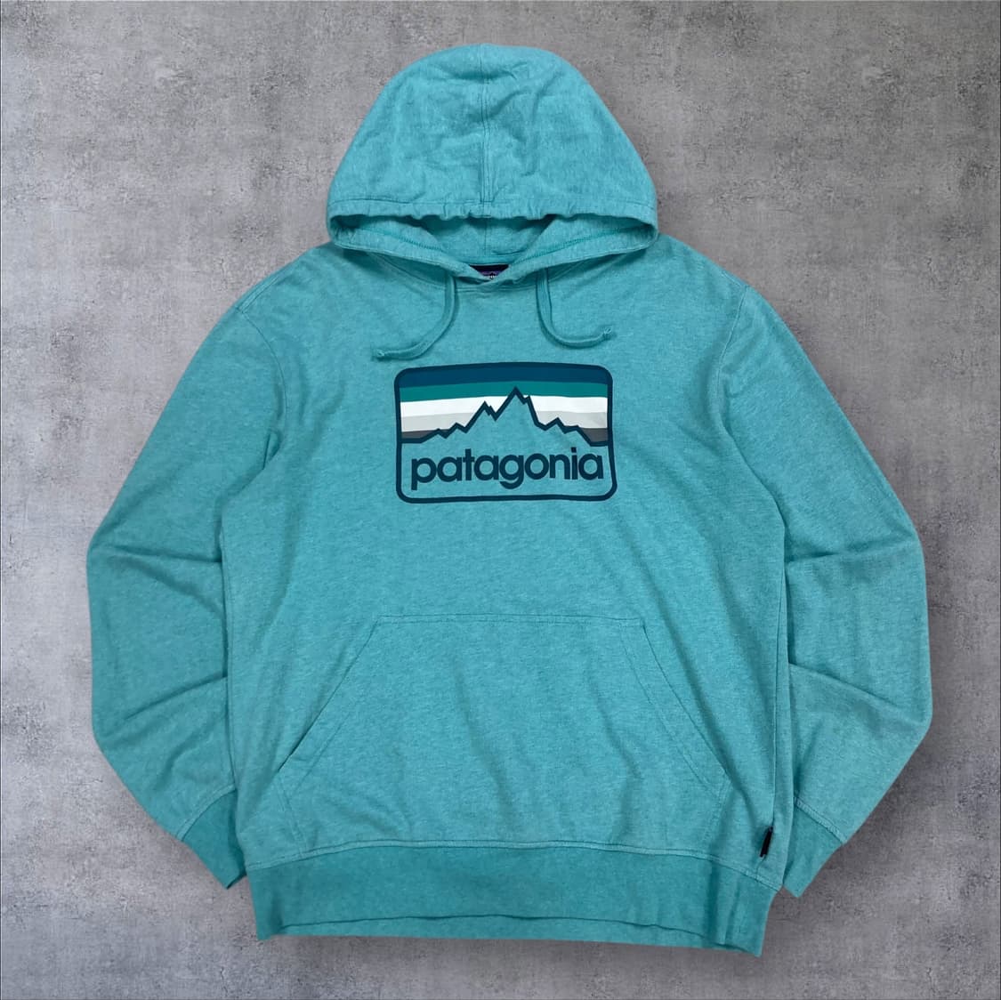 파타고니아 스카이 컬러 빅로고 후드티 상품이미지1