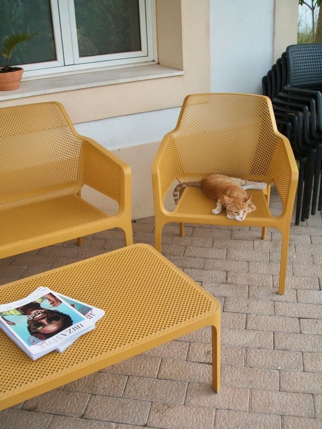 후지필름 파인픽스f450디카 상품이미지6