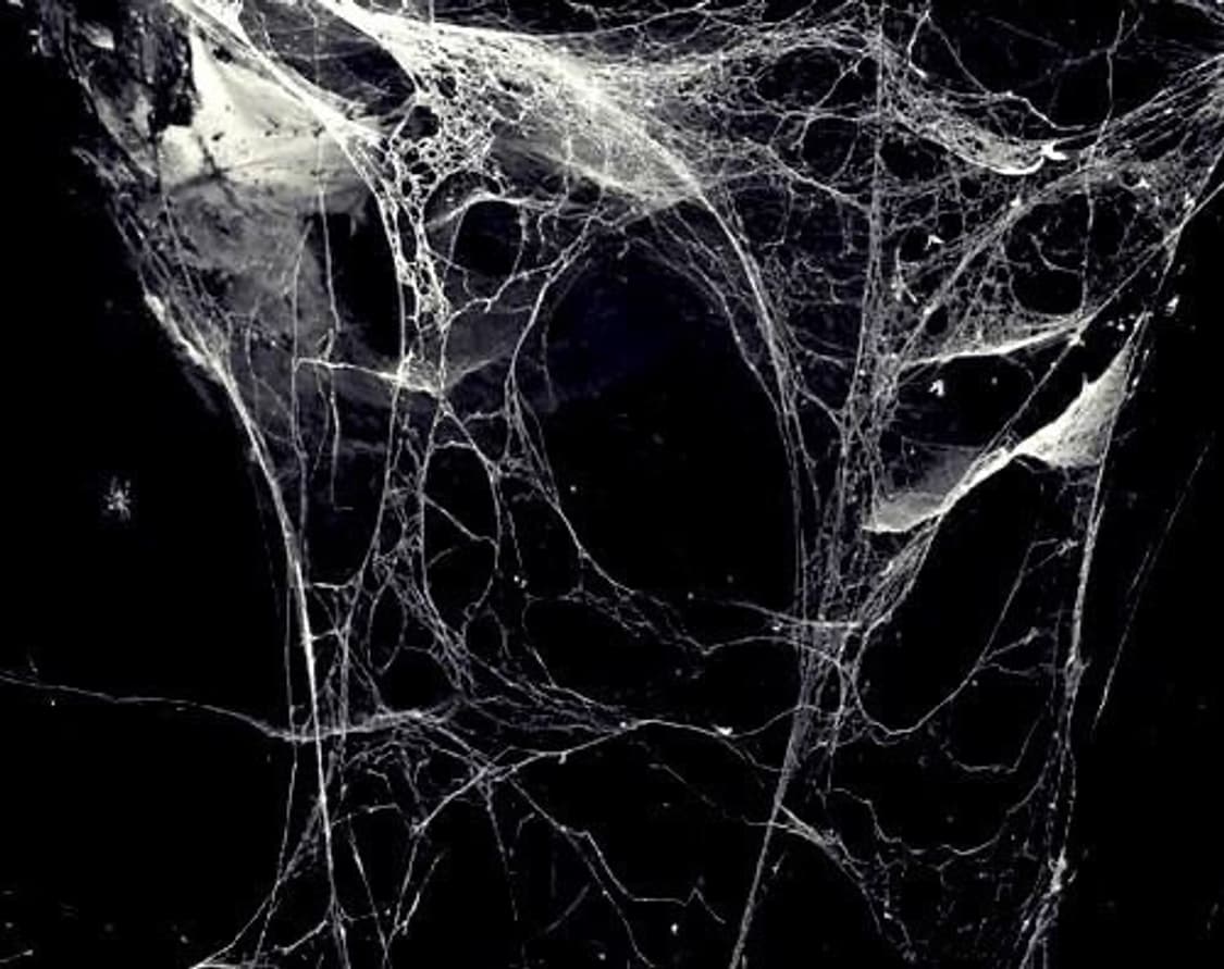 결제창 상품이미지1