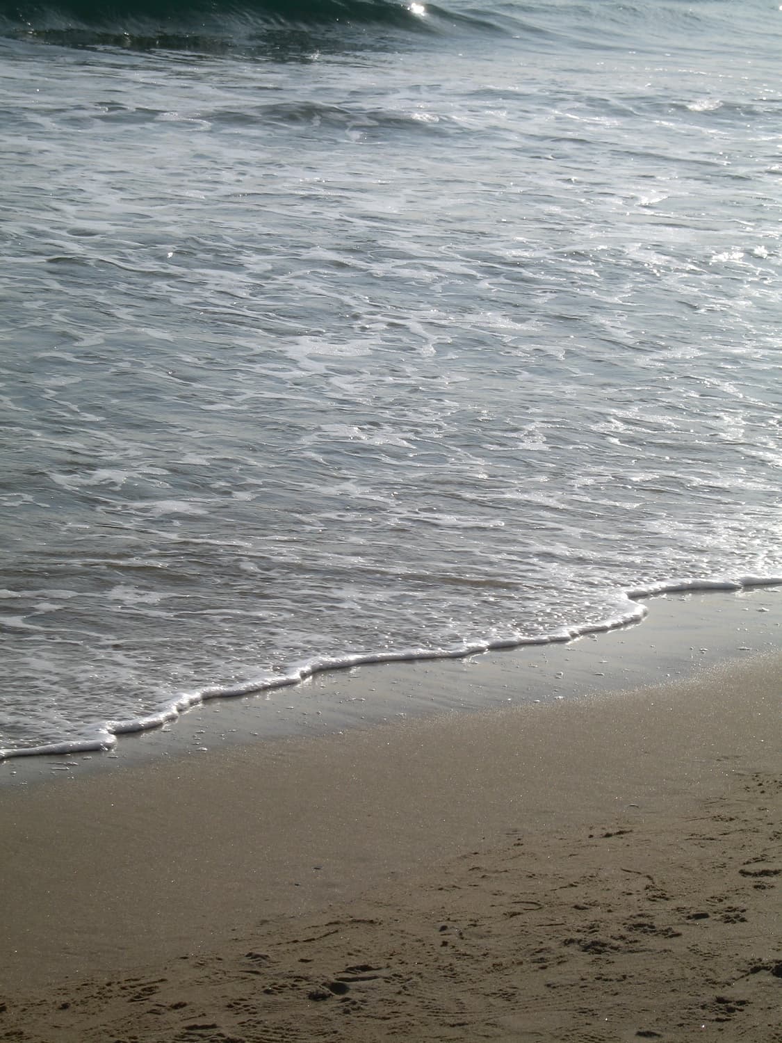 캐논 IXY 700 IXUS 750 빈티지카메라 익서스750 익시700 상품이미지7