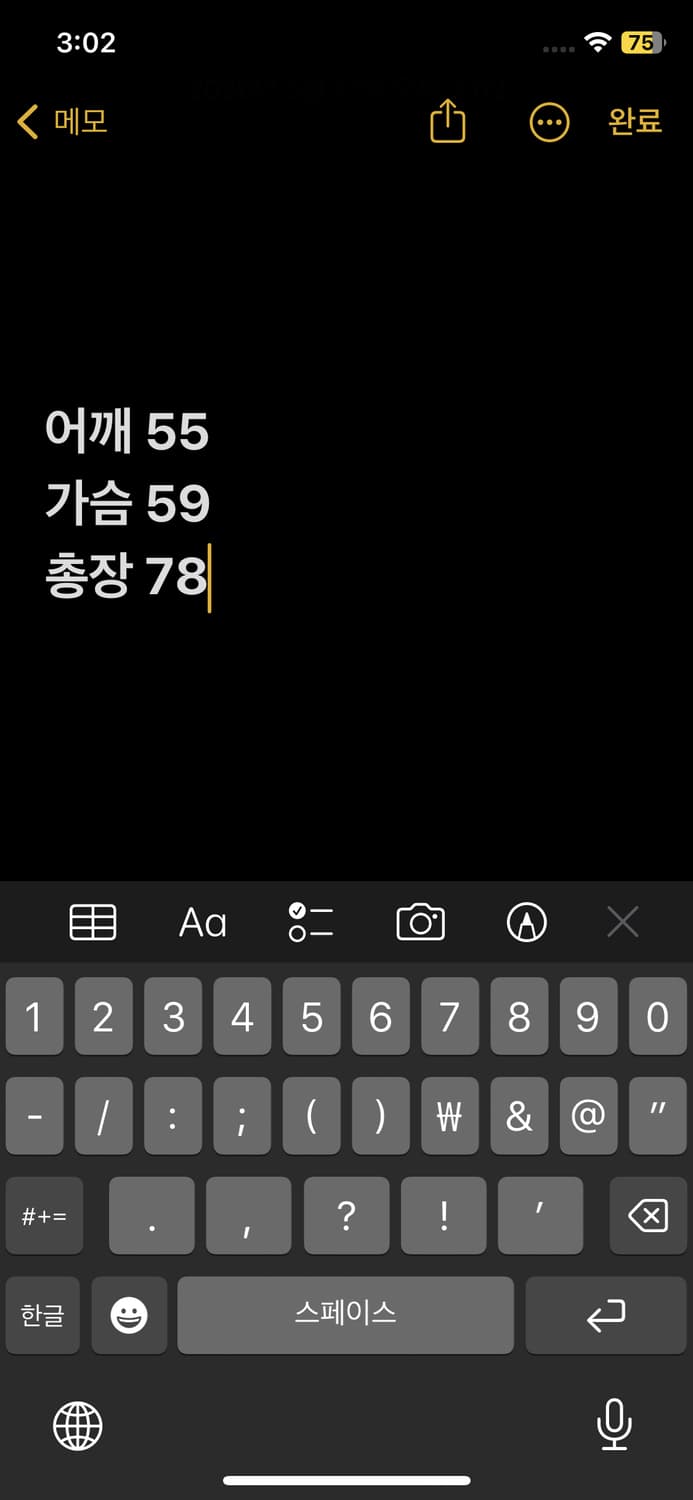 스투시 돌리 피그먼트 다이드 티셔츠 상품이미지6