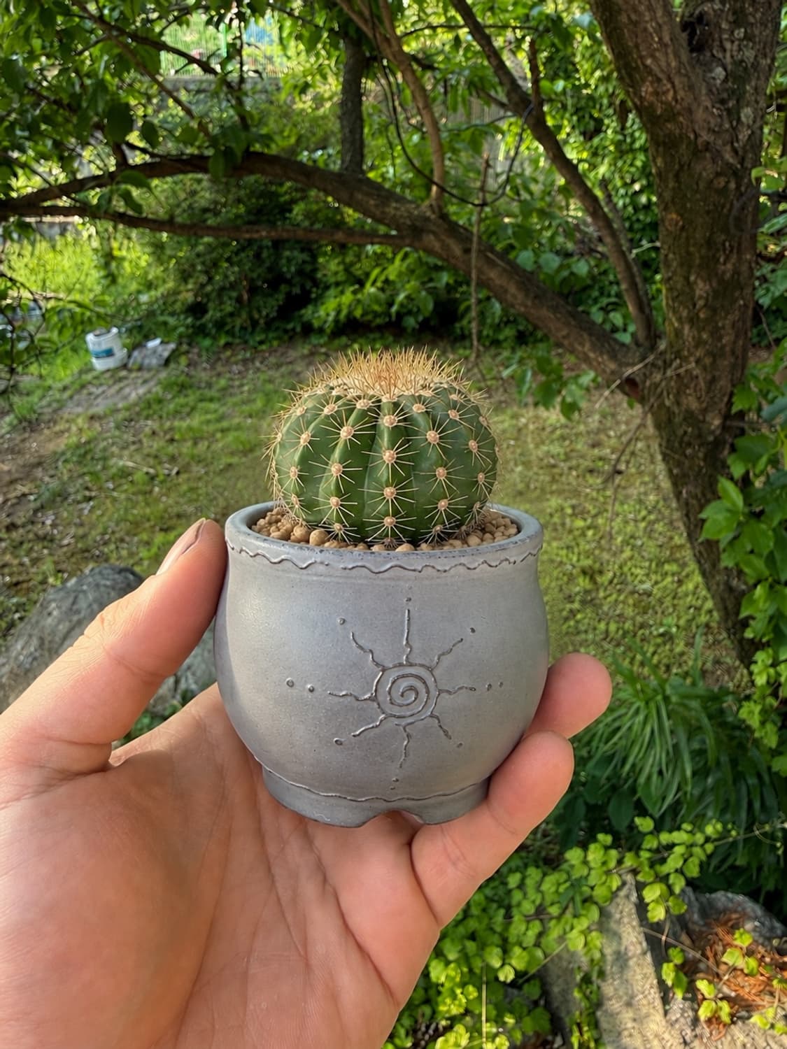 Little Sun Plant Pot 상품이미지1