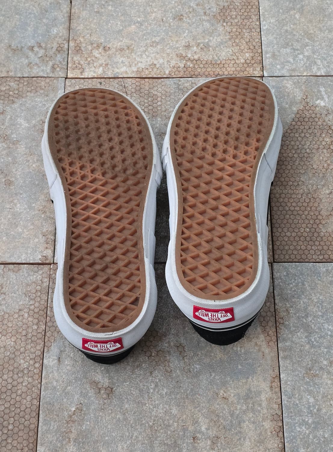 (255)반스 스케이트 로우 리어레인지 상품이미지9