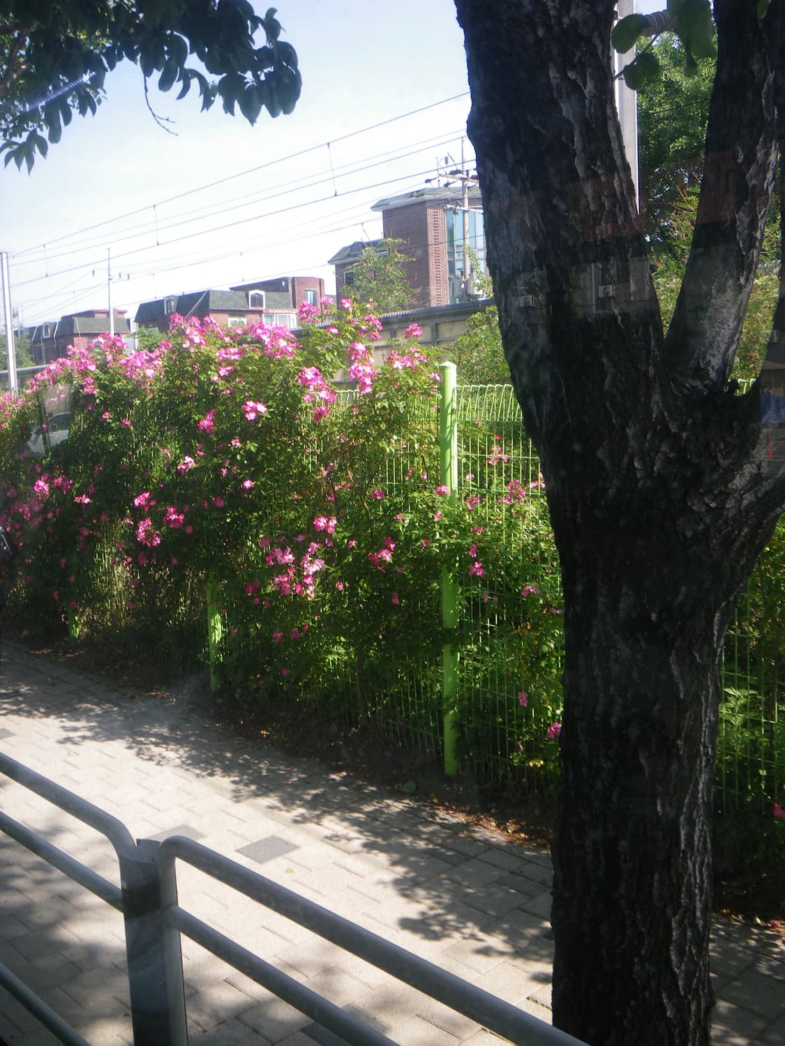 Pentax Optio W60 상품이미지4