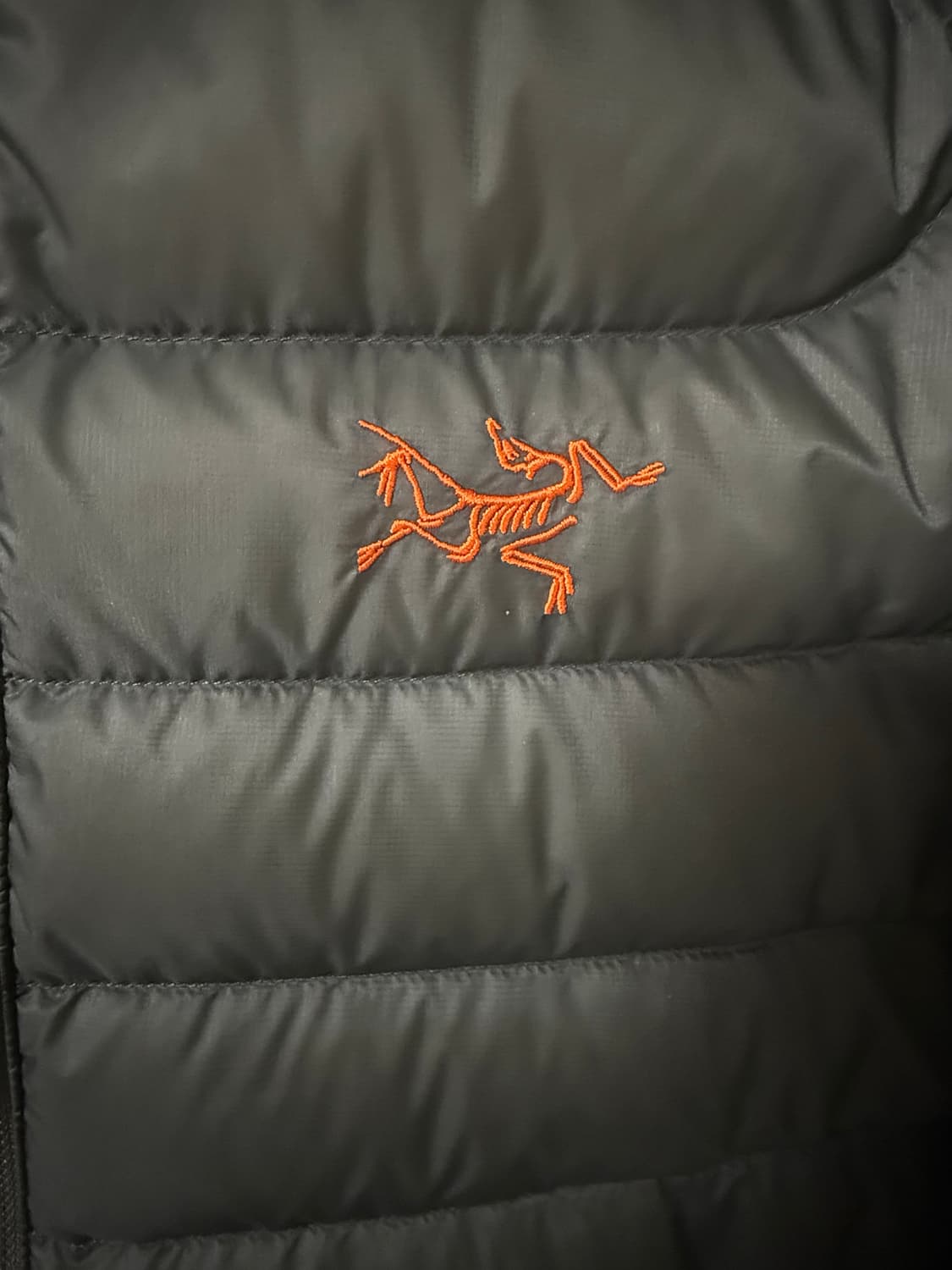 아크테릭스 25FW 세륨 후디 포리지베르베 상품이미지3