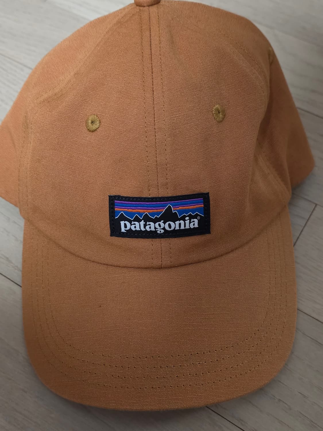 Patagonia 볼캡 상품이미지2