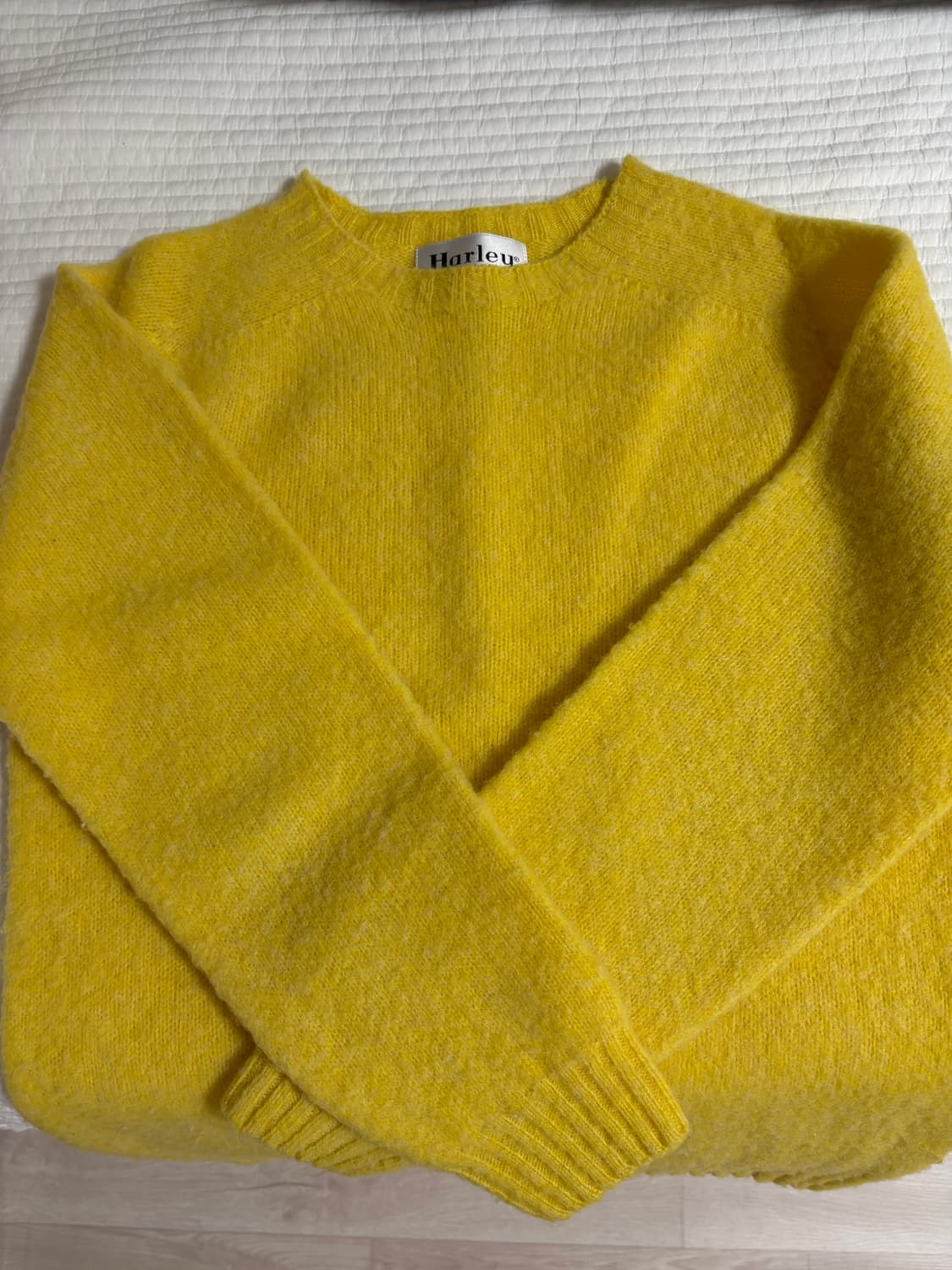 할리 오브 스코틀랜드 쉐기독 s 상품이미지1