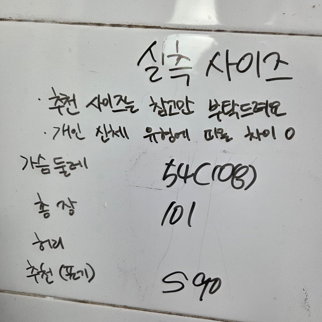 남녀 55/108 노스페이스 평창올림픽 오리털 롱패딩 팀코리아 패치 상품이미지2